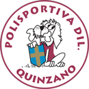 Pallavolo Quinzano Logo